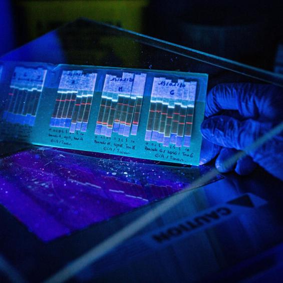 Détection de menaces biologiques et chimiques et soins au combattant