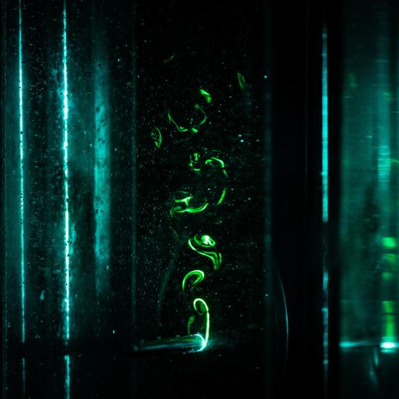 Modélisation, simulation et imagerie