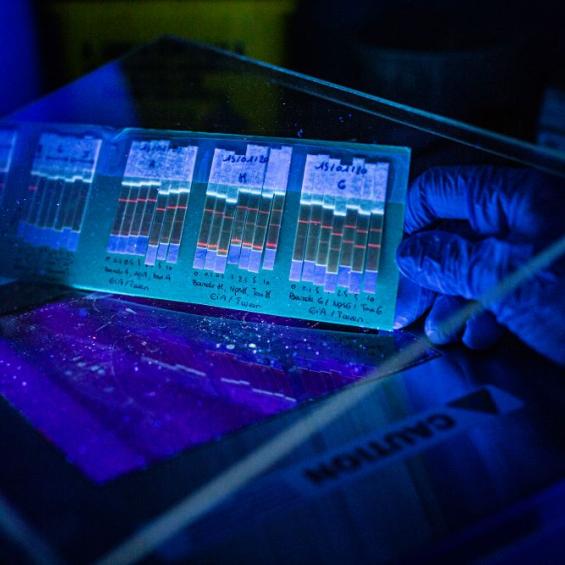 Détection de menaces biologiques et chimiques et soins au combattant